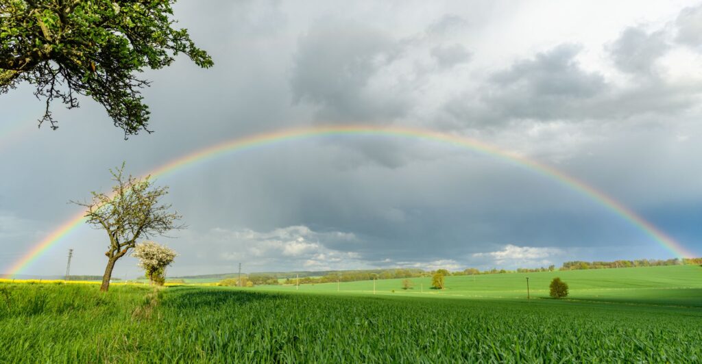 A vibrant rainbow arcs over a lush green field under a cloudy sky, creating a serene natural scene.