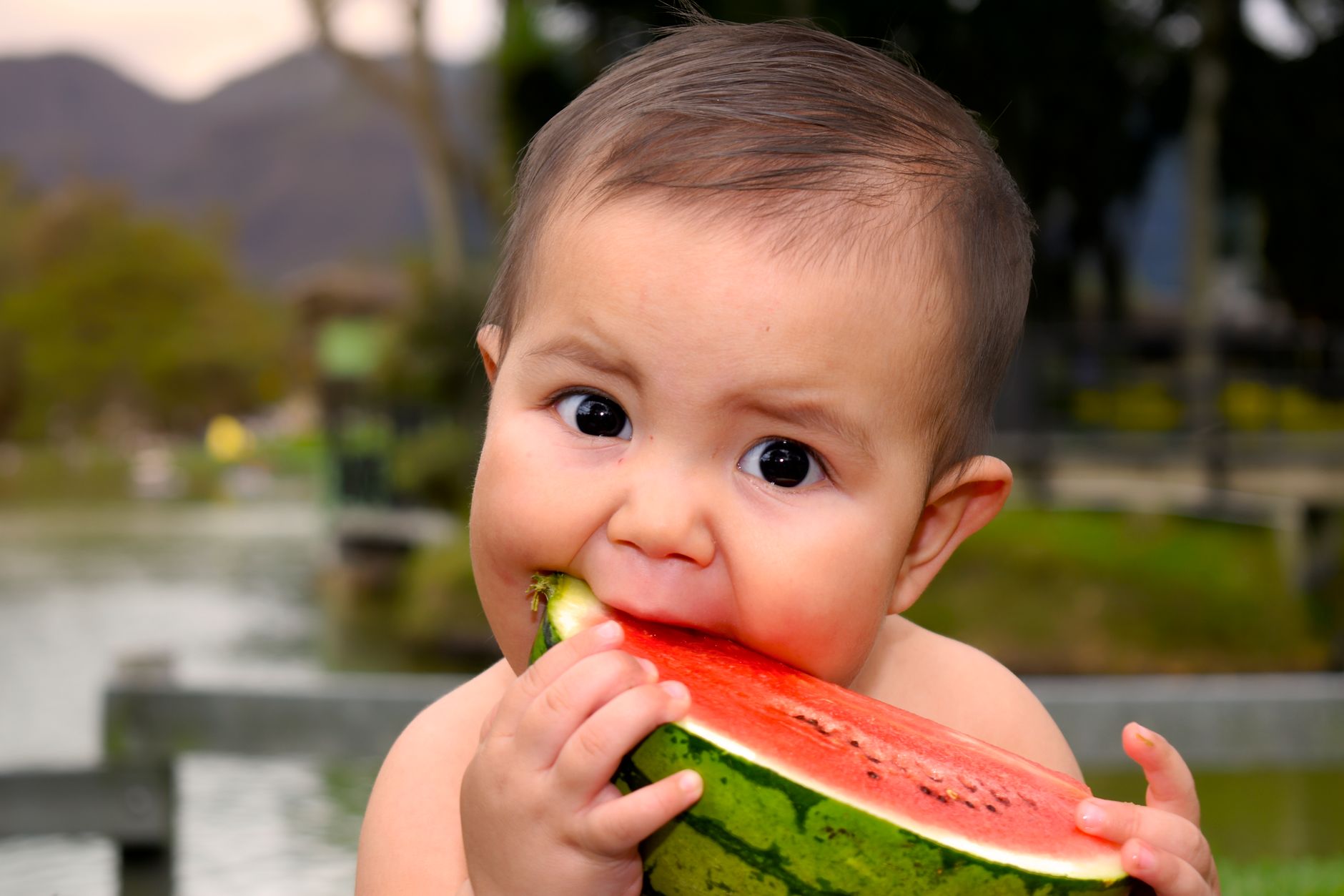 Cute baby eating a juicy watermelon slice outdoors in a park setting.